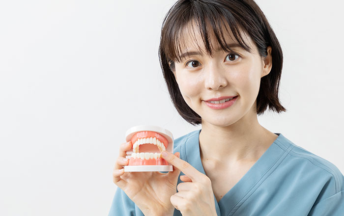 健康なお口で毎日を過ごすために定期検診をおすすめします