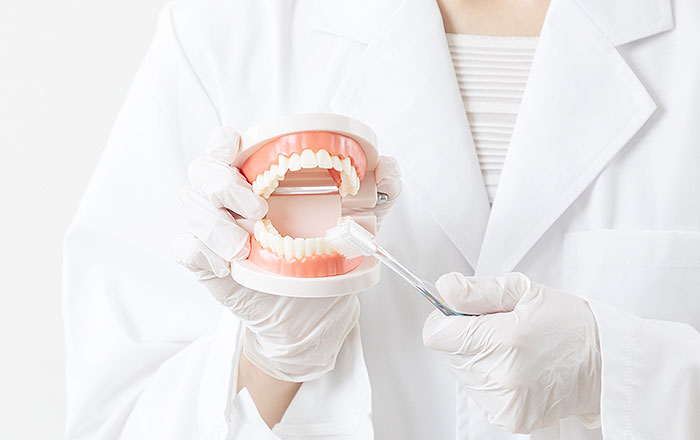 町田歯科はあなたにぴったりの歯磨き方法もお伝えします