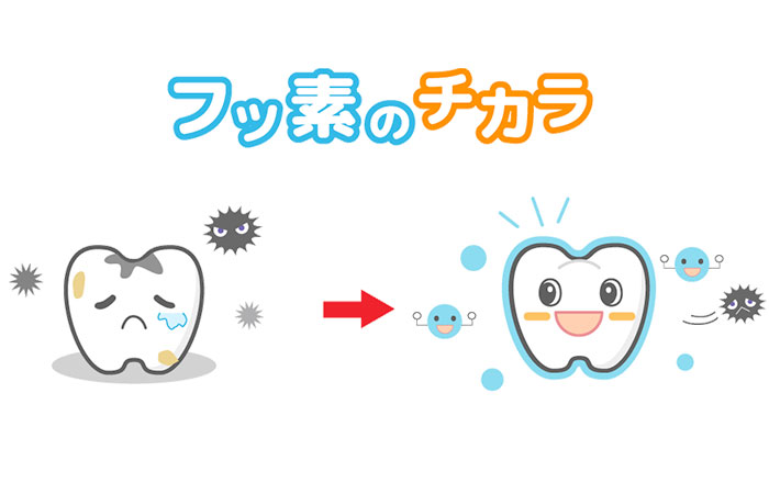 フッ化物配合の歯磨き粉で歯を磨くと、日常的に歯にフッ化物を作用させることができるので、虫歯予防の効果が得られます。