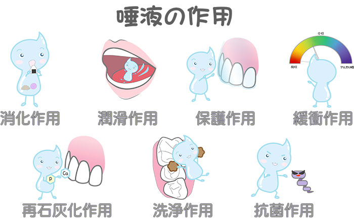 風邪をひいた時に歯茎が腫れる理由:唾液の減少