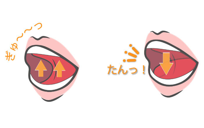 歯科医院で行う専門的な訓練「MFT（口腔筋機能療法）」