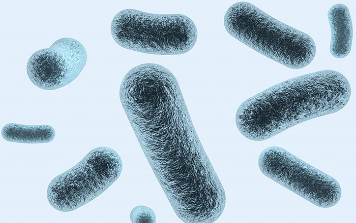 虫歯と歯周病の原因は違う