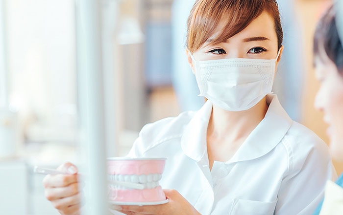 歯磨き中に「オエッ」とえずきにくくなるための5つの工夫：③ 前歯から奥歯へ進む磨き順